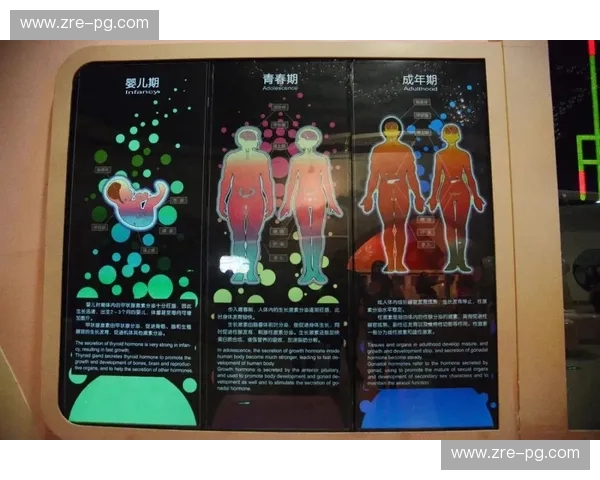 极速与极柔的幻梦：布洛克vs桑，一场关于“重塑”的世纪博弈